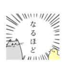 ヒヨコの弟子ねこ（個別スタンプ：12）