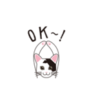 日本猫のロイくん（個別スタンプ：1）