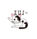 日本猫のロイくん（個別スタンプ：3）