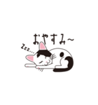 日本猫のロイくん（個別スタンプ：4）