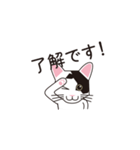 日本猫のロイくん（個別スタンプ：8）