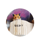 ゴールデンたまちゃん（個別スタンプ：6）