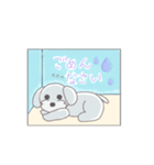 トイプーのくるちゃん（個別スタンプ：4）