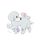 トイプーのくるちゃん（個別スタンプ：8）