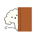 愛犬キキすたんぷ（個別スタンプ：5）