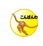 「ごちゃまぜ」（個別スタンプ：5）