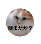 ときどきツンデレ（個別スタンプ：2）