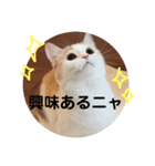 ときどきツンデレ（個別スタンプ：3）