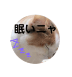 ときどきツンデレ（個別スタンプ：4）