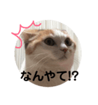 ときどきツンデレ（個別スタンプ：5）
