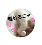 ときどきツンデレ（個別スタンプ：7）