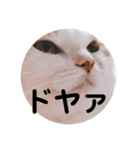 ときどきツンデレ（個別スタンプ：8）
