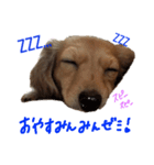 りるちゃんシリーズ（個別スタンプ：2）