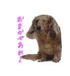 りるちゃんシリーズ（個別スタンプ：3）