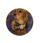 りるちゃんシリーズ（個別スタンプ：5）