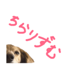 にょこち（個別スタンプ：3）