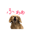 にょこち（個別スタンプ：5）