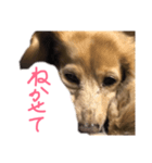 にょこち（個別スタンプ：6）