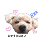 ソラライフ（個別スタンプ：1）