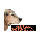 ちぃっぷ2（個別スタンプ：2）