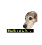 ちぃっぷ2（個別スタンプ：3）