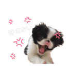 つくね犬（個別スタンプ：2）