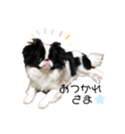 つくね犬（個別スタンプ：7）