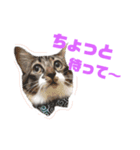 あおちゃんとみどりちゃんのすたんぷ（個別スタンプ：5）