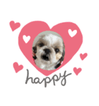ひびちゃんちdogs（個別スタンプ：3）