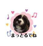 ひびちゃんちdogs（個別スタンプ：8）