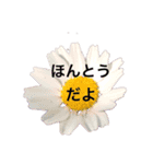 お花と食べ物（個別スタンプ：10）