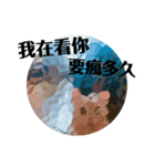 ねこ話し（個別スタンプ：4）