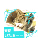 桃日々のいろんな気持ち✨（個別スタンプ：2）