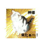 桃日々のいろんな気持ち✨（個別スタンプ：4）