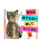 桃日々のいろんな気持ち✨（個別スタンプ：7）