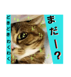 桃日々のいろんな気持ち✨（個別スタンプ：8）