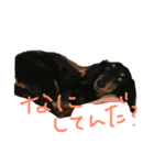 日常ダックくん（個別スタンプ：5）