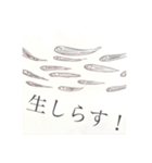 さかなみなと。（個別スタンプ：14）
