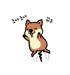 一番幸せなクォッカ（個別スタンプ：13）