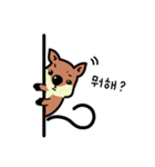 一番幸せなクォッカ（個別スタンプ：20）