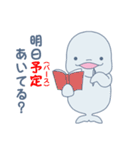 MOL ACE（個別スタンプ：31）