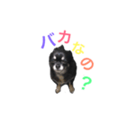 飯島ゆきち可愛いスタンプ（個別スタンプ：3）