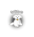 スモッグ犬ちゃん（個別スタンプ：16）