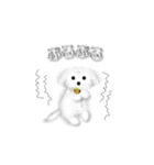 スモッグ犬ちゃん（個別スタンプ：23）