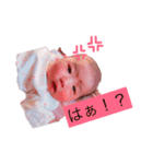 心翔ちゃん スタンプ（個別スタンプ：1）
