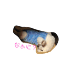 飯沼さんちのムサシくん（個別スタンプ：4）