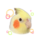 ぽこちゃんの日常（個別スタンプ：8）