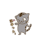 にぃねこスタンプ（個別スタンプ：4）