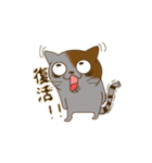 にぃねこスタンプ（個別スタンプ：16）