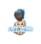 那月スタンプ あいさつVer.（個別スタンプ：3）